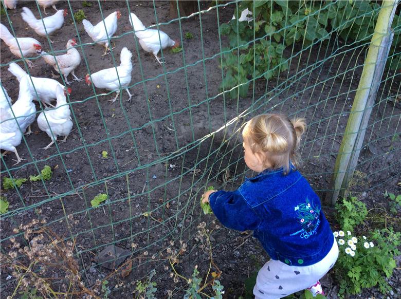 Horslunde Landsbyordning pige fra dagplejen fodrer høns
